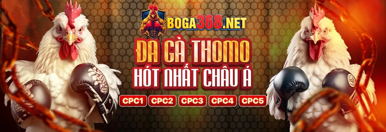 Tin tức w66 bet: Nền tảng giải trí trực tuyến hàng đầu