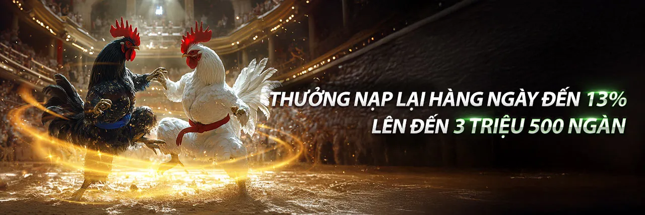 Đá Gà Trực Tuyến Hấp Dẫn tại w66 bet