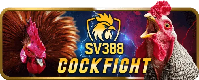 Nhấp vào nút Đăng nhập w66 bet