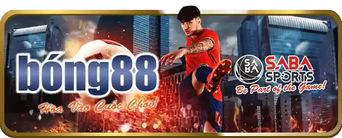Chính sách cá cược có trách nhiệm của w66 bet